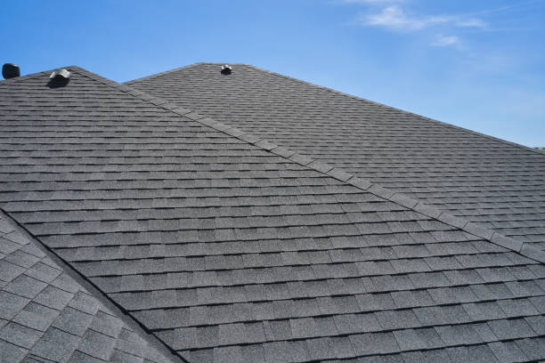 Skylights in Buchanan, GA